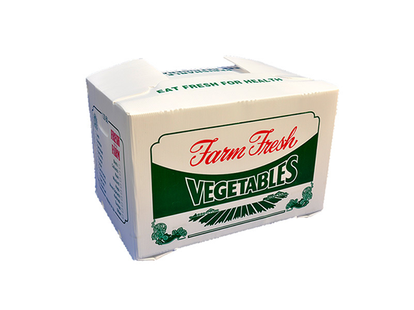 PP Hollow Board PP Hollow Board