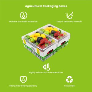 PP fruit packaging boxes — stacked corrugated polypropylene produce crates with ventilation for fresh fruit cold chain logistics