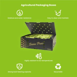 PP vegetable packing boxes — stacked corrugated polypropylene produce crates for fresh vegetable logistics and cold chain transport