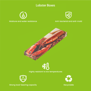 PP corrugated lobster box — internal divider configuration showing individual compartments with claw-band anchor points for live lobster cold chain transport