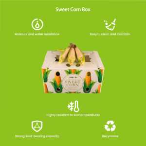 Reusable polypropylene sweet corn crate with ventilation for cold chain storage
