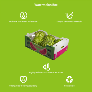 PP corrugated watermelon box — single jumbo melon packed in ventilated box with reinforced corners for cold chain transport