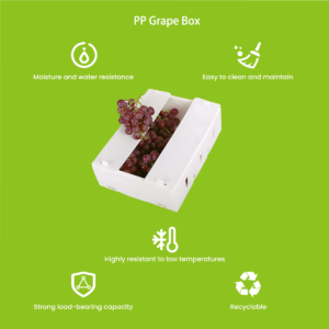 Reusable polypropylene grape crate with circular airflow design