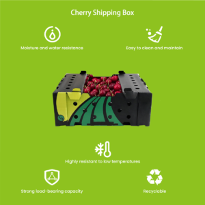 Reusable polypropylene cherry packaging box with ventilation design