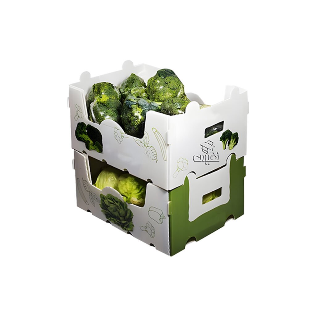 PP Broccoli Packing Box — Cold Chain Produce Packaging | PPBOXY
