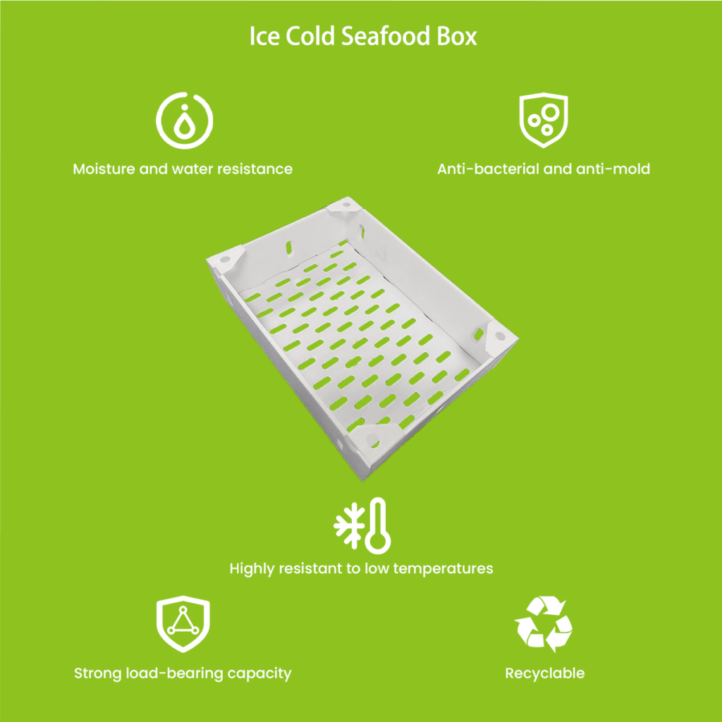 Ice Cold Seafood Box