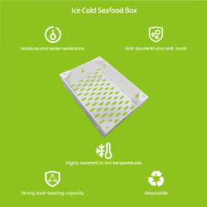 Ice cold seafood box open view showing honeycomb insulation and drain port configuration