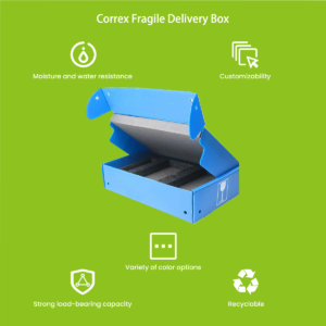 Correx fragile delivery box with cell dividers — shock-absorbing PP corrugated crate for breakable items
