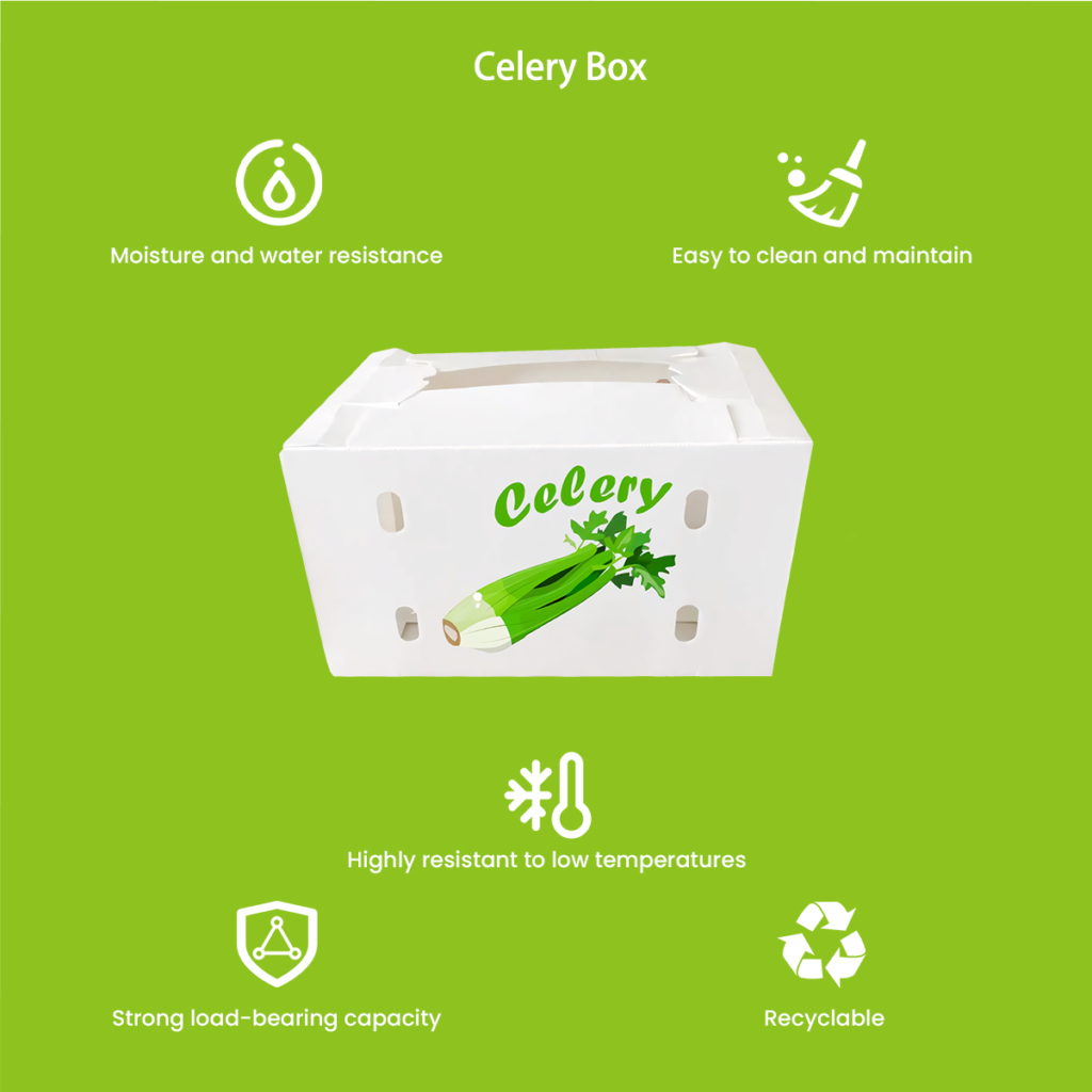 Celery Box