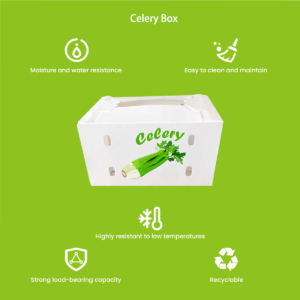 Celery box breathable corrugated walls maintaining vertical stalk orientation during shipping
