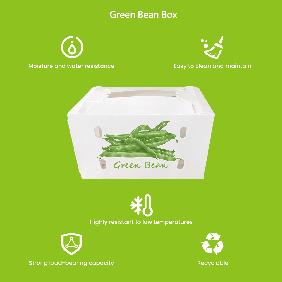 Well Beanbox Green Bean Box - ppboxy.com
