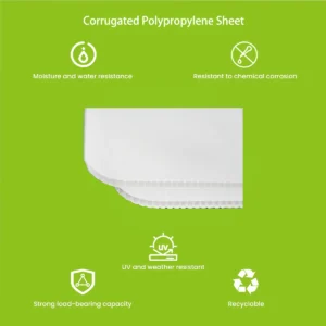 Cross-section of corrugated polypropylene sheet showing twin-wall hollow channels