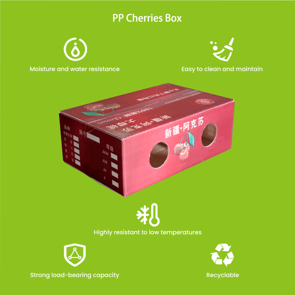 PP Cherries Box