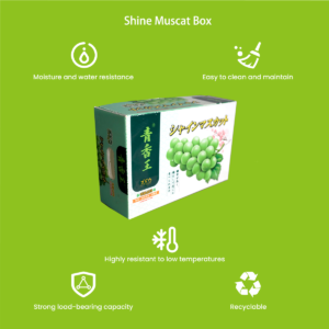 Shine muscat grape gift packaging box with oval handle holes detail