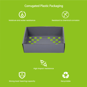 PP hollow sheet produce packaging for agricultural logistics
