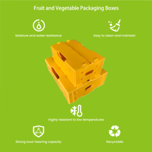 PP fruit and vegetable box design showing crop-specific ventilation patterns and stackable rim