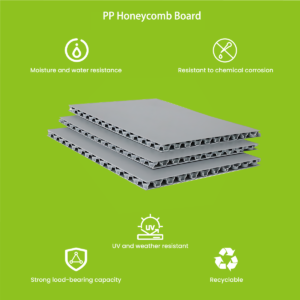 PP honeycomb board cross-section showing hexagonal cell core structure