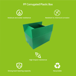 PP corrugated plastic box types comparison — foldable, turnover, courier and pallet