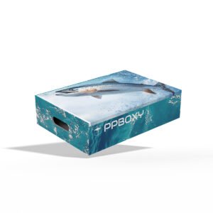 1.Fish Packing Boxes