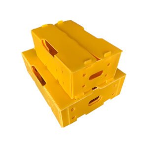 Fruit and Vegetable Packaging Boxes