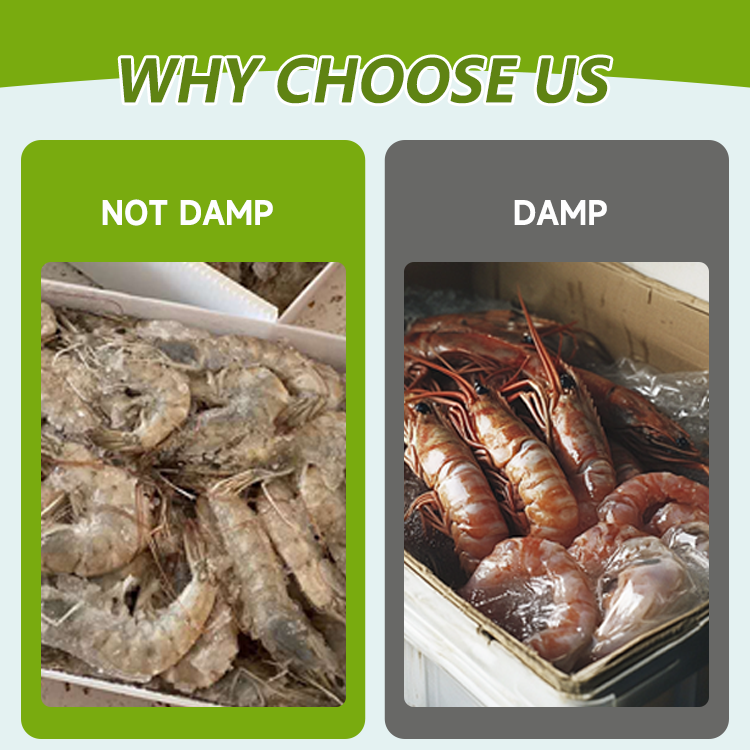 Seafood packaging showing damage from traditional materials compared to Polypropylene Hollow Board protection.