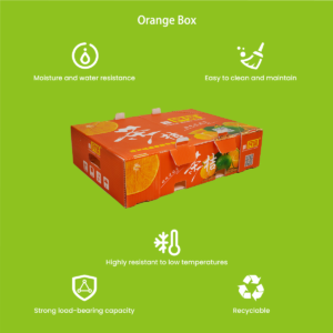 PP hollow board orange box — showing corrugated structure and handle