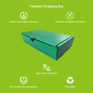 Custom-printed PP foldable box with branding