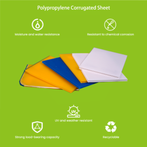 PP corrugated sheet flute structure detail — showing twin-wall cross section
