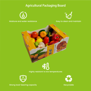 PP corrugated agricultural packaging sheet for fruit and vegetable packing
