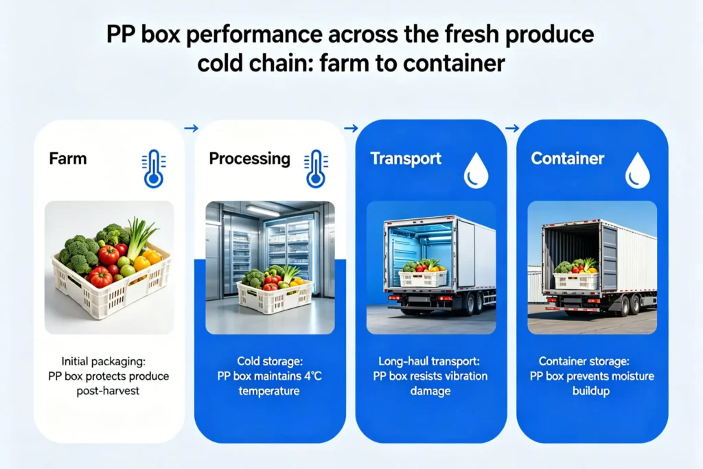 Infographic showing PP corrugated box performance across the fresh produce cold chain from farm to container